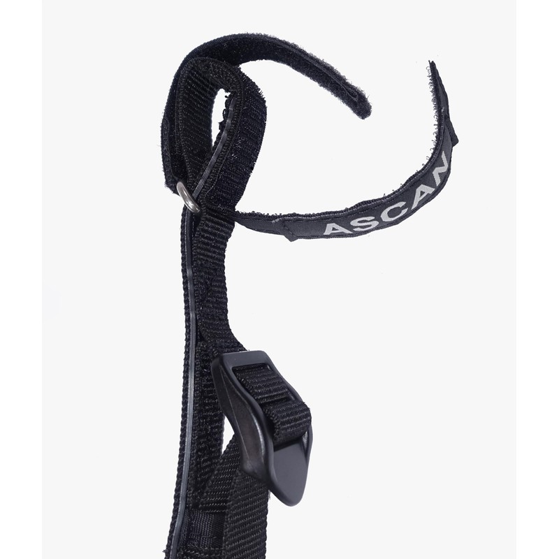 Ascan Wing Harness Line Vario