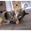 SmartyKat Chickadee Chirp Electronic Sound Cat Toy, Contains Catnip, Battery
