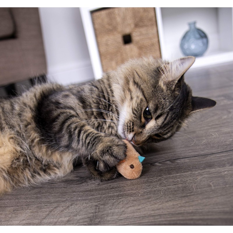 SmartyKat Chickadee Chirp Electronic Sound Cat Toy, Contains Catnip, Battery