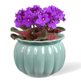 LITUDISO Self-Watering Ceramic Planter for Indoor Plants – 6 Inch Pot for Succulents, Herbs & Small Houseplants, Decorative Self-Watering Pot for Home & Office, Blue