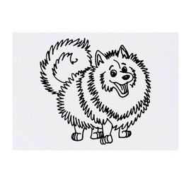 'Pomeranian Dog' Temporary Tattoo - Water Resistant, Skin-Safe, Non-Toxic Transfer (TO00022330)