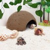 Hamiledyi 7 Pcs Reptile Hideouts Natural Coconut Shells Hut Leopard