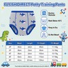 FLYISH DIRECT Potty Training Pants Cotton, Reusable and Absorbent, 2