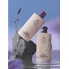 [SET][1:1 Pump Giveaway] Oceanary Taped Sunset Body Wash + Lotion / [SET][1:1펌프증정] 오셔너리 테피드선셋 바디워시+로션