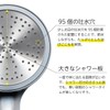 SANEI PS3501-81XA-CHA20-EC Large Metallic Shower Head, Plated, Large Shower Plating,
