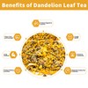 Dandelion Leaf & Root Tea Bags with 50 Count -