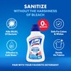 Lysol Disinfectant Laundry Sanitizer & Scent Booster, Laundry Detergent Additive,