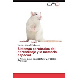 Sistemas cerebrales del aprendizaje y la memoria espacial: El Núcleo Basal Magnocelular y el Cortex Prefrontal