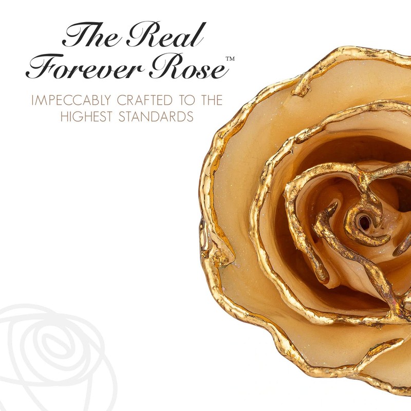 Forever Rose 24K Limited Edition Gold Dipped Amethyst Rose, The