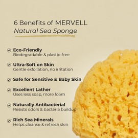 Natural Yellow Sea Grass Sponge 5 Inch Perfect for Bath, Shower and Body Care Softly Rough but not skin irritating Lathers & Washes Really Well