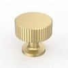 Coinkoly CK-EU0019 Pack of 10 Furniture Knobs, Gold Furniture Knobs,