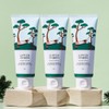 round wrap [2+1 set] Round Lab Pine Soothing Cica Cleanser 150ml / [2+1세트] 라운드랩 소나무 진정 시카 클렌저 150ml