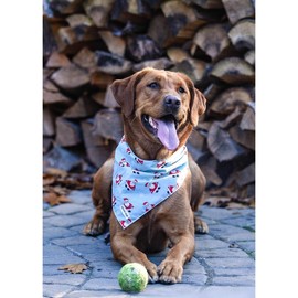 The Santa Claus Dog Bandana - Size: Medium