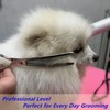 HASHIMOTO Curved Chunkers Shears for Dog Grooming,Curved Dog Texturizing Scissors,Cat