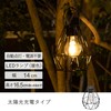 Takeda Corporation META-165 Garden Solar Light Light, Black, 5.5 x