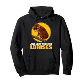 Just a Boy who loves Lorises Loris Pullover Hoodie
