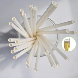 100 Pack White Paper Straws, Biodegradable Smoothie Straws for Home Ice Drink Shop Coffee Bar Restaurant Party(6mm/0.24")