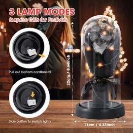 INYPTROPIC Preserved Flowers Gifts for Her Mom Women, Forever Roses Fresh Flowers for Delivery Prime, Light Up Black Rose in A Glass Dome Valentines Mothers Day Birthday Gifts for Grandma Wife Sister