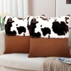 HYOPUO Set of 2 Faux Fur Throw Pillow Covers with