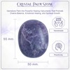 BEZAVO Lepidolite Oval Polished Palm Stone, Healing Crystal Reiki Worry