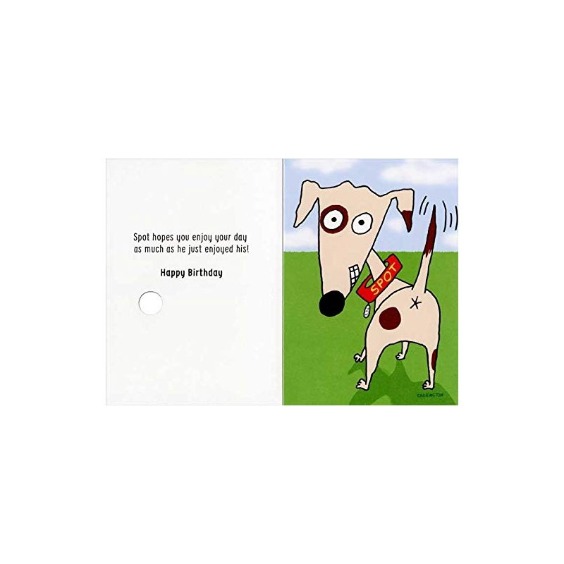 RSVP Rub This Spot Funny/Humorous Gross Birthday Card