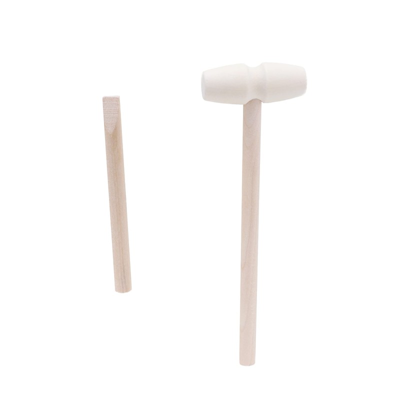 Toyland® T-Rex Skull Dig Kit - Display Stand Included -