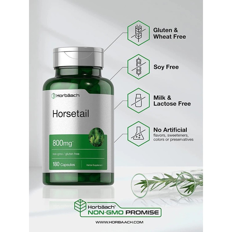 Horbäach Horsetail Capsules 800mg | 180 Count | Non-GMO, Gluten