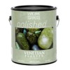 1 gal Modern Masters VP100 Tint Base Venetian Plaster Water-Based Acrylic Venetian Plaster
