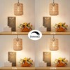 YXTH Plug in Pendant Light, Rattan Hanging Lights with Plug