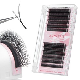 ANNAFRIS Eyelash Extensions, YY 0.07 C, 9-14 mm, Ready-to-Use Fan Eyelash Extensions, Premade Fan Lashes (FoxYY, 0.07C, 9-14 mm)