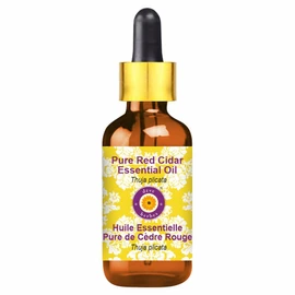 dève herbes Pure Red Cidar Essential Oil (Thuja plicata) with Glass Dropper Natural Therapeutic Grade Steam Distilled 100ml (3.38 oz)