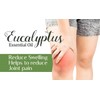 Eucalyptus Essential Oil Pure,Natural and Undiluted,30 ml