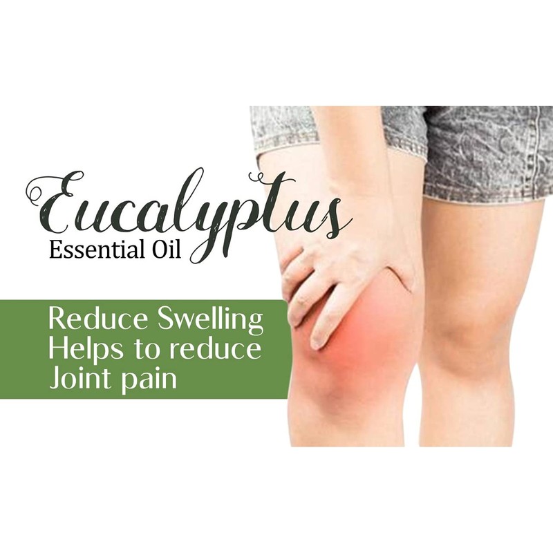 Eucalyptus Essential Oil Pure,Natural and Undiluted,30 ml