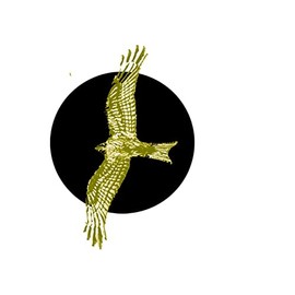 B45 Red Kite CHROME GOLD COLOURED English Pewter on an Air Freshener fits on a Vent Clip Kit Decoration