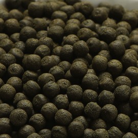 Moringa pills 900g / Traditional health pills using moringa leaves / 모링가환 900g / 모링가잎 사용 전통 건강 환