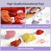 Science Can Human Body Model for Kids - Interactive Anatomy