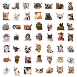 BELLSCHE 100Pcs Funny Cat Stickers, Cute Cat Stickers for Adults Kids Teens, Waterproof Water Bottle Stickers Decals for Laptop Skateboard Scrapbook Phone Luggage Bicycle, (BELLSCHE-1)