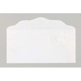 Bill Size Blank Offering Envelopes White