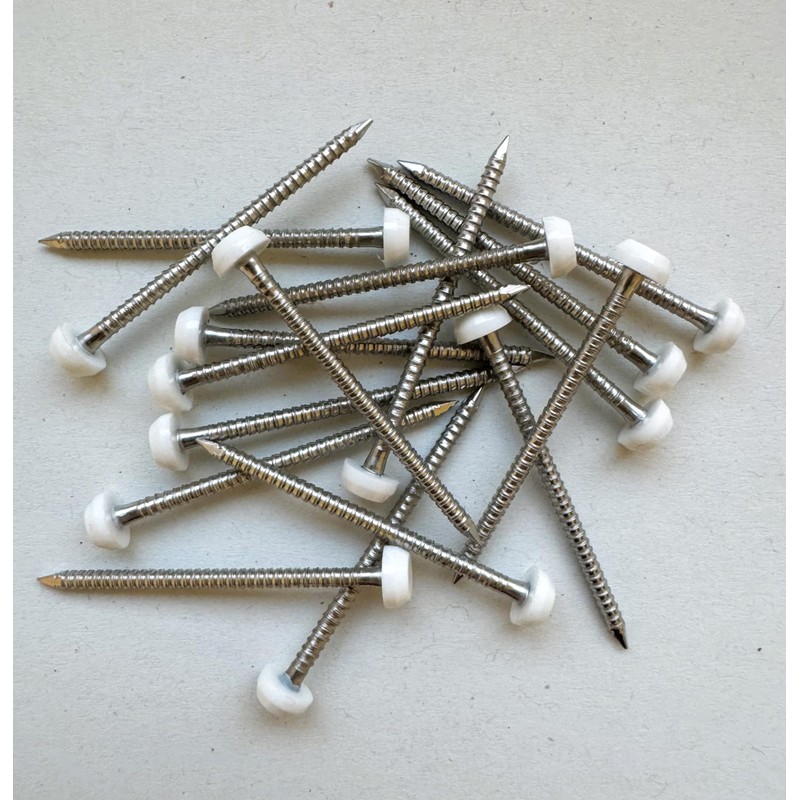 40mm Poly Top Pins / Nails (Pack of 250) Stainless