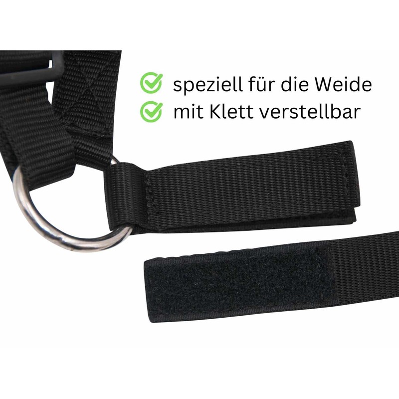 Amesbichler Reitsport HorseGuard Muzzle Feeding Brake for Horses with Teddy
