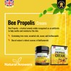 Bee Propolis Cream 60ml - Moisturising Natural Propolis Balm Ointment