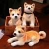 Plush Toy Dog Shiba Inu, Super Cute Cuddly Toy Dog