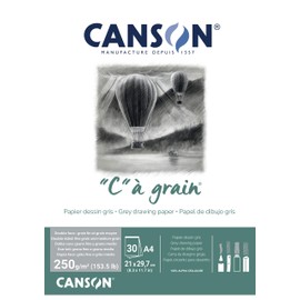 Canson "C à Grain A4 250g Mottled Grey Drawing & Sketching Paper Pad, 30 Sheets, Fine & Medium Grain Texture, Glued on Short Side, Ideal for Professional Artists