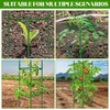 Hoyejyou 3 Pack Tomato Cages for Garden Plant Support, Up