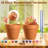 Realure Pack of 20 Clay Pots for Succulents, Small Flower