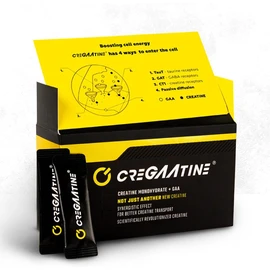 Micronized Creatine Monohydrate + GAA | Increase Strength, No Water Retention | Boosts Memory & Focus | Single-Serve Packets | 60 Sachets, 30 Servings | (Sachets, Unflavored)