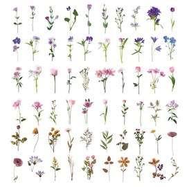 Pack of 120 Flowers Scrapbooking Stickers Vintage Sticker Sheets PET Transparent Natural Themes Plants Stickers for Photo Album Scrapbook Notebook Diary Laptops DIY Decoration (B)