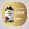 Piping Rock Irish Sea Moss Capsules | 2250mg | 180