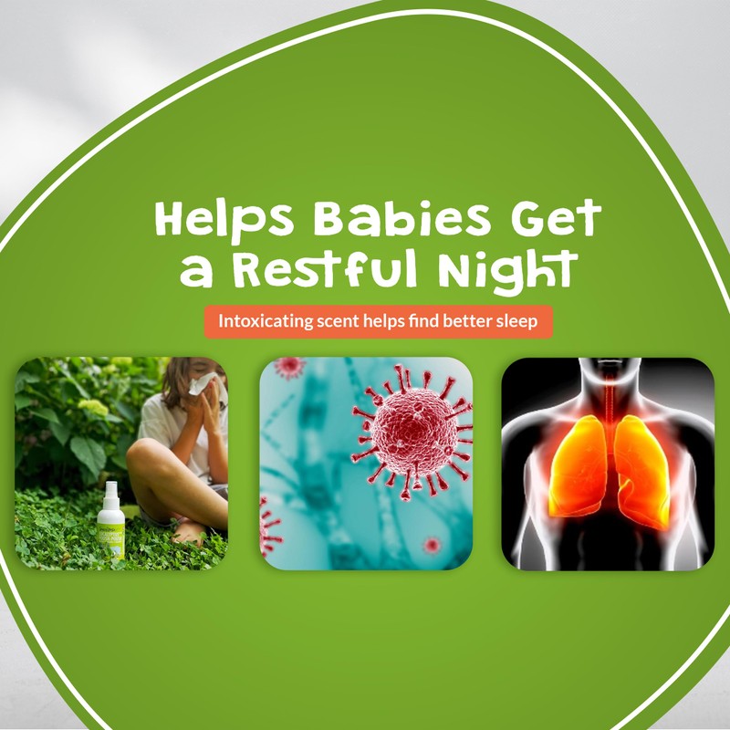 Souris Verte Eucalyptus Mist – for Pillow and Bedding –