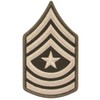 Army AGSU Sgt Major SGM E-9 Cloth Rank Female